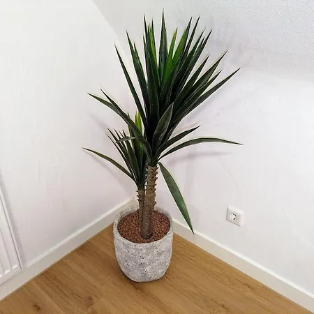 'tannen' Grenze Enschede *